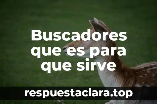 Buscadores que es para que sirve