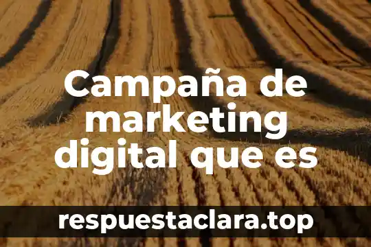 Campaña de marketing digital que es