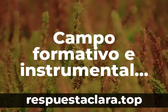 Que es un simukacro de campo 4 Campo formativo e instrumental que es