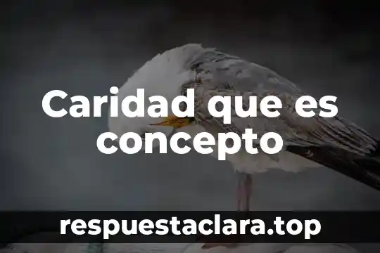 Espacio forestal que es significado y concepto 4 Caridad que es concepto
