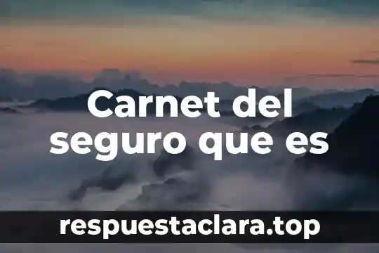 Que es el número de seguro 7 Carnet del seguro que es