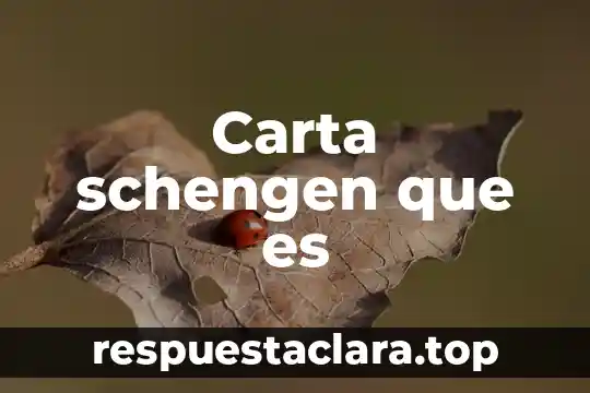 Carta schengen que es