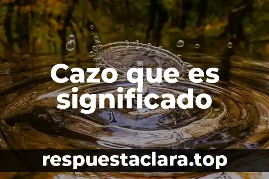 Que es lirismo significado 7 Cazo que es significado
