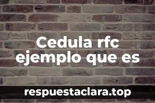 Qué es cartografía significado 8 Cedula rfc ejemplo que es