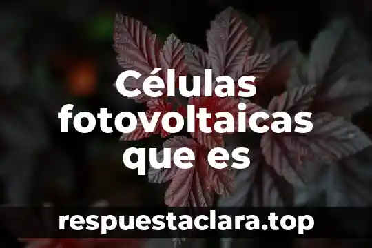 Células fotovoltaicas que es