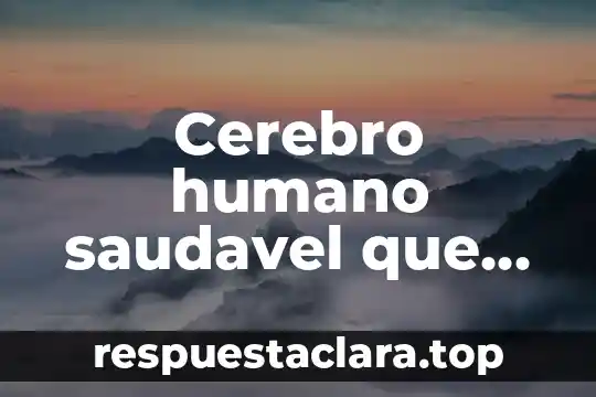 Cerebro humano saudavel que es