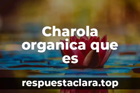Para que es la maca organica 3 Charola organica que es