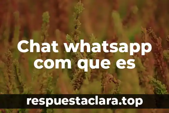 Que es ser baneado de un chat 5 Chat whatsapp com que es