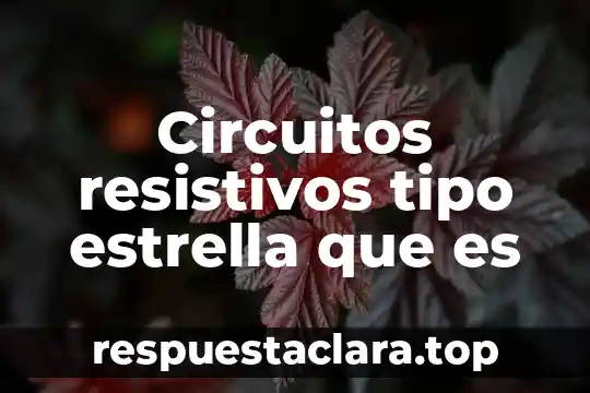 Que es un tipo de letra proporcional 4 Circuitos resistivos tipo estrella que es