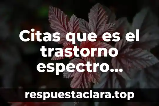 Citas que es el trastorno espectro autista según kinner