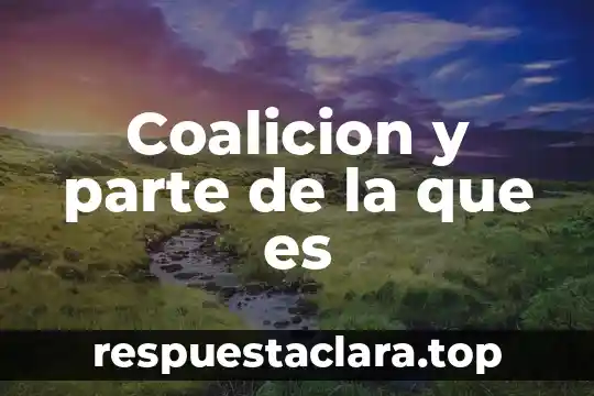 Coalicion y parte de la que es