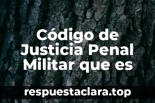 Que es la justicia social en la profesion 7 Código de Justicia Penal Militar que es