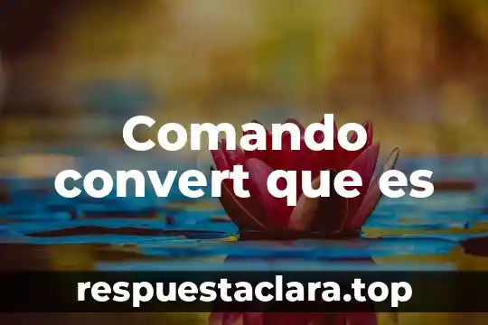 Comando convert que es
