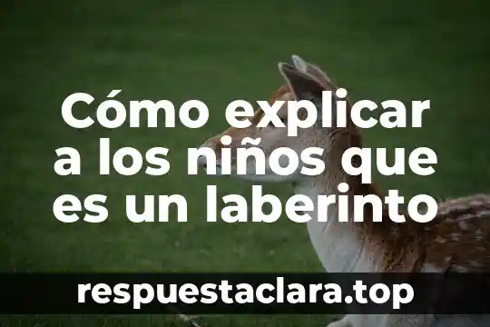 Cómo explicar a los niños que es un mandala 3 Cómo explicar a los niños que es un laberinto