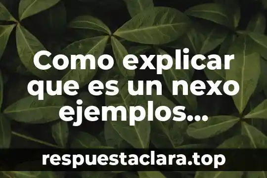 Cómo explicar a los niños que es un mandala 8 Como explicar que es un nexo ejemplos primaria