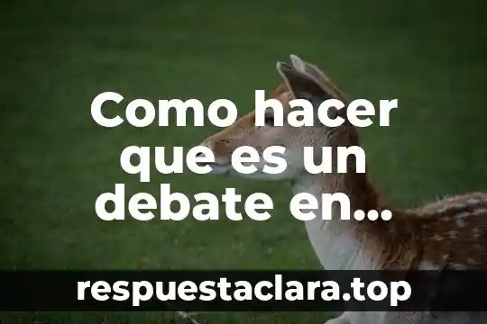 Como hacer que es un debate en mapa conceptual