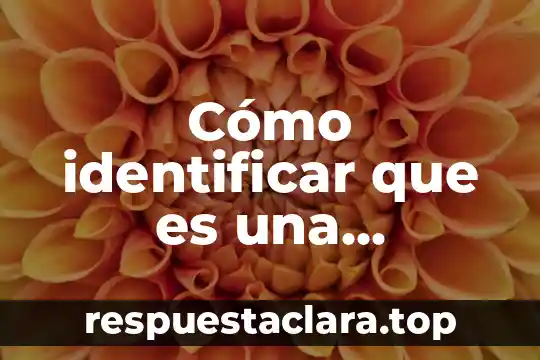 Cómo identificar que es una arquitectura islámica