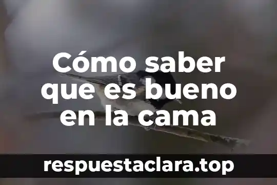 Cómo saber que es bueno en la cama