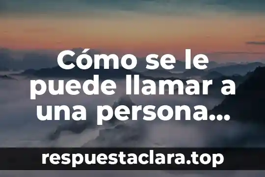 Cómo se le puede llamar a una persona que es estudiosa