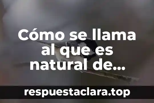 Como se llama que es sol este a la mitad 3 Cómo se llama al que es natural de paris