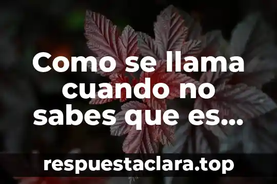 Como se llama que es sol este a la mitad 4 Como se llama cuando no sabes que es tu religion
