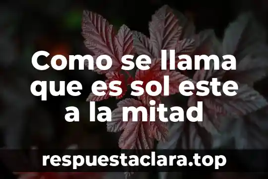 Como se llama cuando no sabes que es tu religion 4 Como se llama que es sol este a la mitad