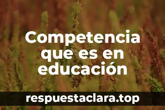 Que es a competencia por espacio 5 Competencia que es en educación