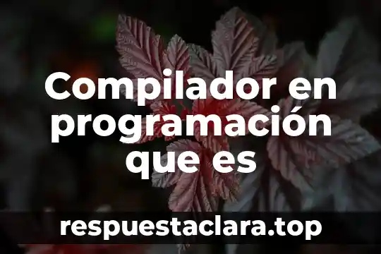 Compilador en programación que es