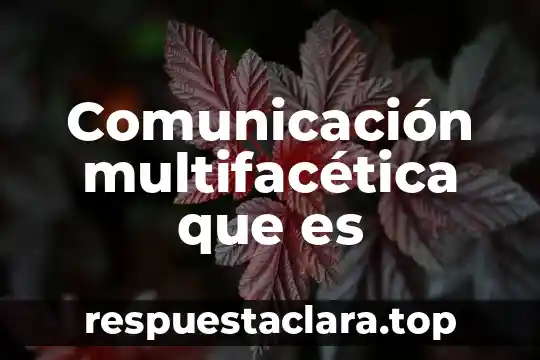 Comunicación multifacética que es