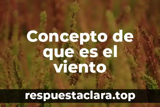 Qué es una curva granulométrica concepto 6 Concepto de que es el viento