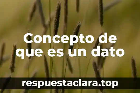 Concepto de que es un dato