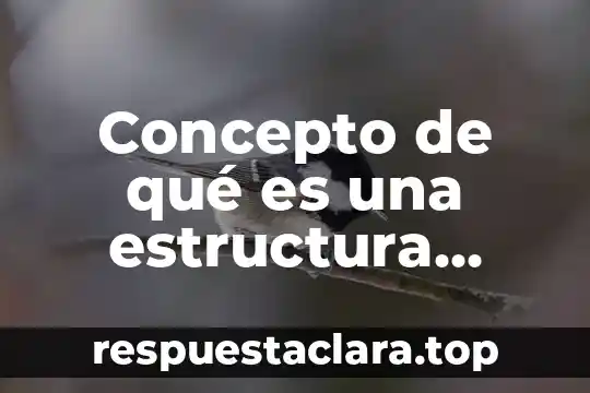 Concepto de qué es una estructura condicional simple