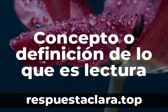 Concepto o definición de lo que es lectura