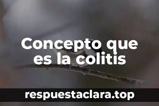 Qué es mejor para la colitis metoclopramida o butilhioscina 3 Concepto que es la colitis