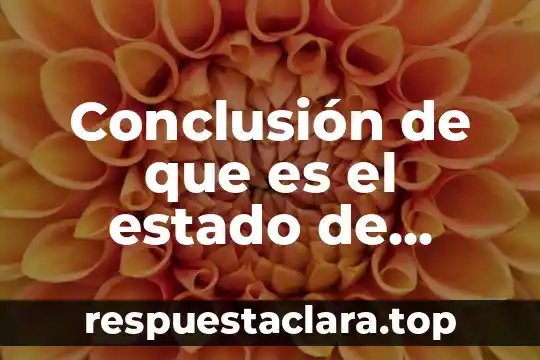 Conclusión de que es el estado de derecho