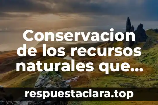 Conservacion de los recursos naturales que es