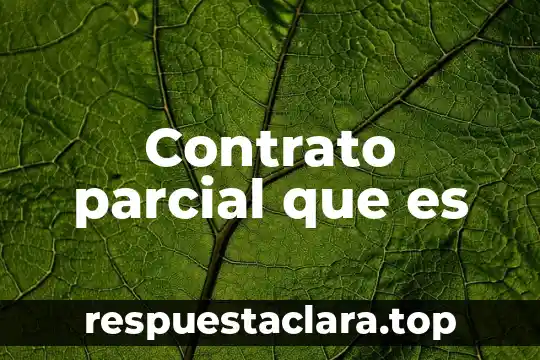 Que es la relacion parcial de inventarios etiquetas de inventarios 3 Contrato parcial que es