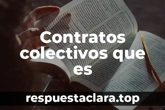 Qué es el junco planta 8 Contratos colectivos que es