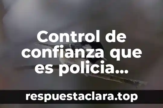 Qué es el número de confianza del iPhone 8 Control de confianza que es policia mexico definición
