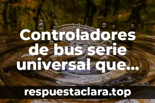 Que es una idea principal y cómo se identifica 8 Controladores de bus serie universal que es