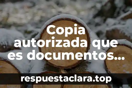 Qué es la justicia para niños 7 Copia autorizada que es documentos públicos