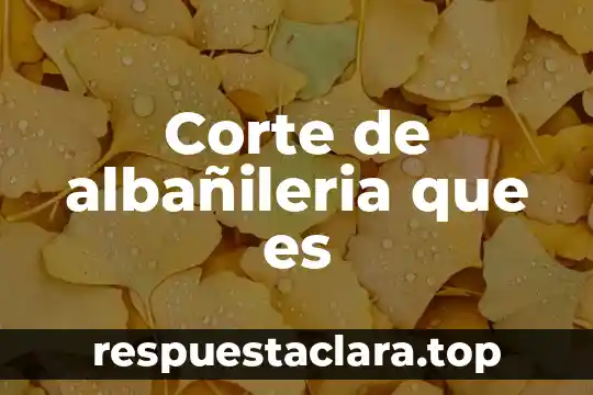 Corte de albañileria que es