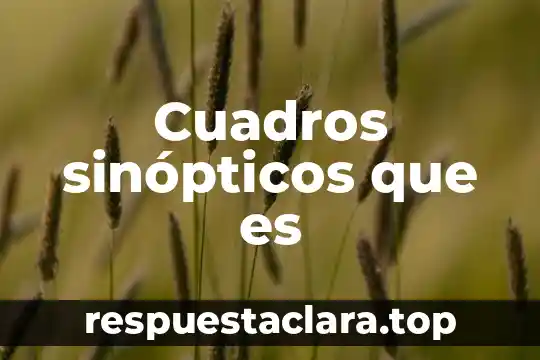Ad account que es 4 Cuadros sinópticos que es
