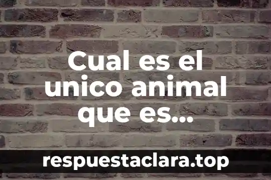 Cual es el unico animal que es inmortal