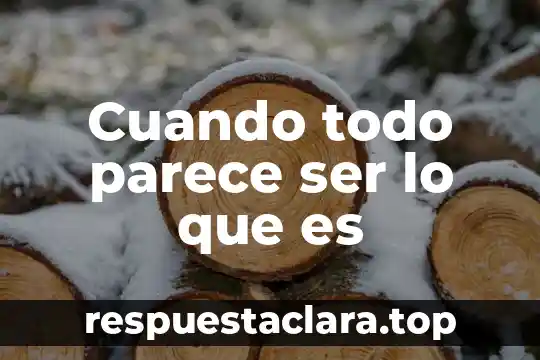 Cuando todo parece ser lo que es