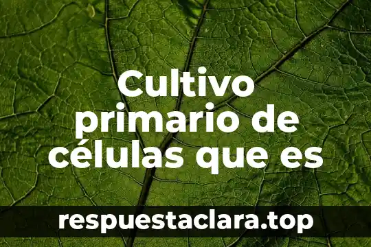 Cultivo primario de células que es