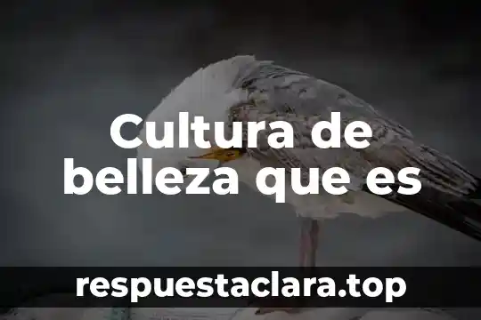 Que es la belleza en etica 7 Cultura de belleza que es