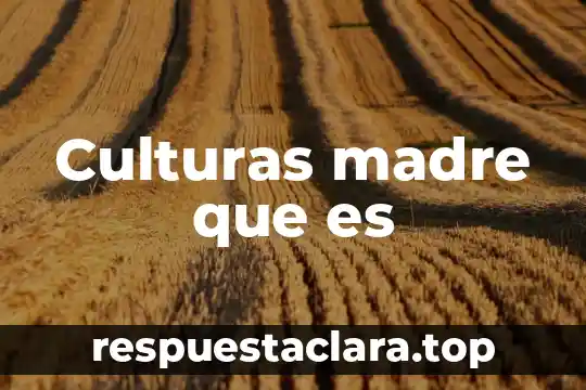Culturas madre que es