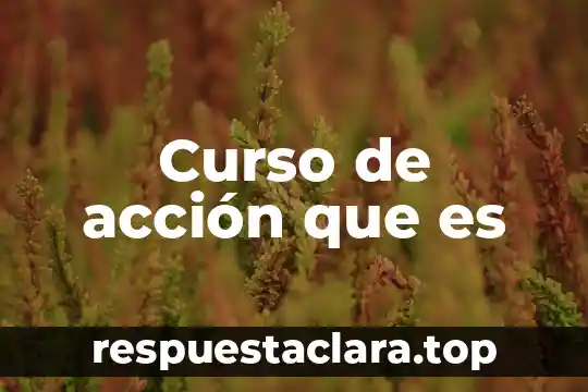 Curso de acción que es