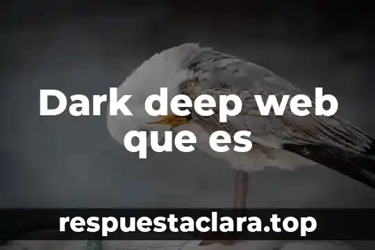 Dark deep web que es